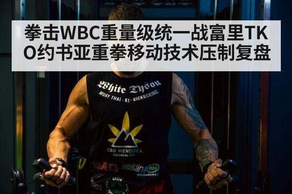 拳击WBC重量级统一战富里TKO约书亚重拳移动技术压制复盘