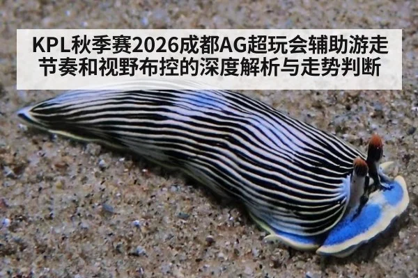 KPL秋季赛2026成都AG超玩会辅助游走节奏和视野布控的深度解析与走势判断