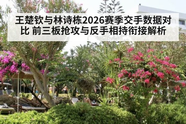 王楚钦与林诗栋2026赛季交手数据对比 前三板抢攻与反手相持衔接解析