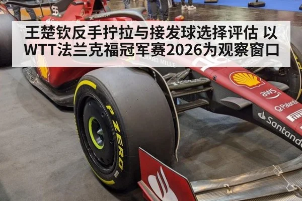 王楚钦反手拧拉与接发球选择评估 以WTT法兰克福冠军赛2026为观察窗口